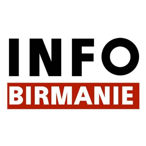 Infographie – Birmanie : un pays, des peuples