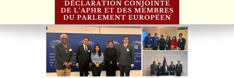 Déclaration conjointe : l’APHR et des membres du Parlement européen appellent à une action renforcée de l’UE pour rejeter les élections de la junte du Myanmar/Birmanie et donner la priorité à la protection humanitaire