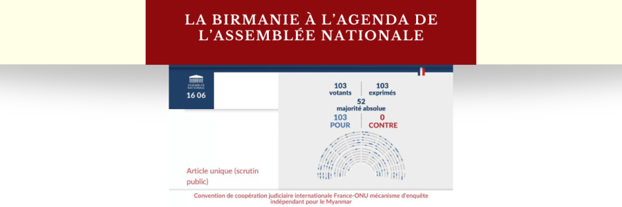 La Birmanie à l’agenda de l’Assemblée Nationale