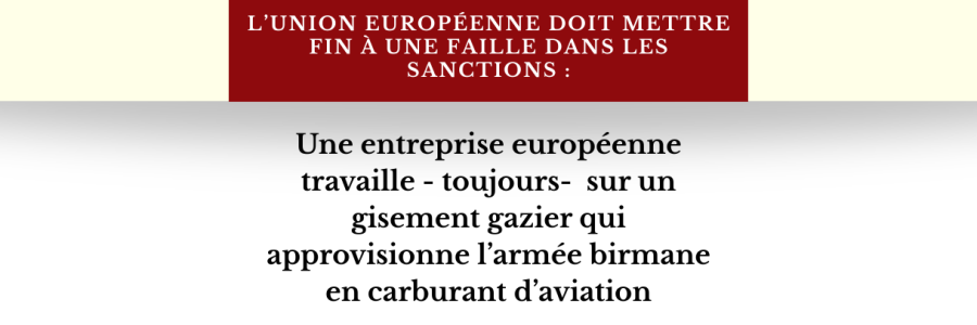 Déclaration conjointe de 14 organisations européennes de plaidoyer pour la Birmanie