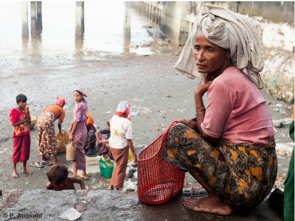 PÉTITION URGENTE : le Président Macron doit stopper le massacre des Rohingya